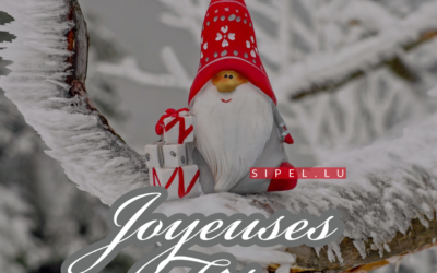 Joyeuses fêtes 🎄🎅☃️